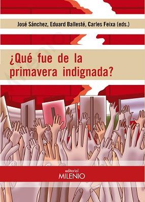 ¿QUÉ FUE DE LA PRIMAVERA INDIGNADA? | 9788497438636 | DD. AA.