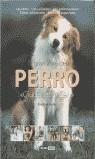 GRAN LIBRO DEL PERRO, EL | 9788475562957 | HOFER, ANDREAS