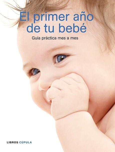 PRIMER AÑO DE TU BEBE | 9788448048303 | PRACTICAL PARENTING