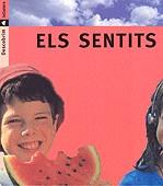 SENTITS, ELS (DESCOBRIM) | 9788424602727 | ARANEGA, SUSANNA