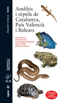 AMFIBIS I RÈPTILS DE CATALUNYA, PAÍS VALENCIÀ I BALEARS | 9788496553538 | RIVERA, XAVIER/ESCORIZA DANIEL/MALUQUER-MARGALEF, JOAN/ARRIBAS, OSCAR/CARRANZA, SALVADOR/FILELLA SUB