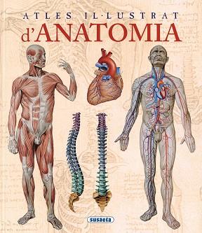 ANATOMIA ATLES IL.LUSTRAT | 9788467702101 | RIGUTTI, ADRIANA