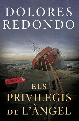 ELS PRIVILEGIS DE L'ÀNGEL | 9788417423971 | REDONDO, DOLORES