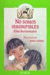 NO SOMOS IRROMPIBLES | 9788420742496 | BORNEMANN, ELSA ISABEL