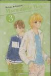 MARMALADE BOY: EDICIÓN ESPECIAL Nº3/6 | 9788467445138 | WATARU YOSHIZUMI