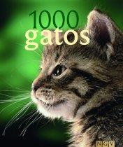 1000 GATOS | 9783625124191 | AAVV