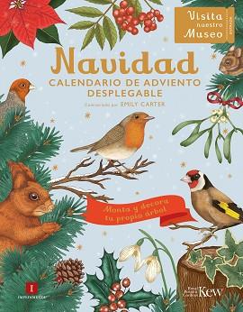 NAVIDAD | 9788419581624 | CARTER, EMILY