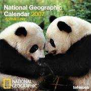 CALENDARI NAT.GEOGRAPHIC ANIMAL LOVE 2007 | 9783832717605 | VARIOS