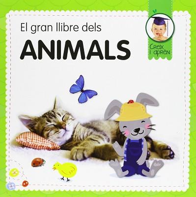 EL GRAN LLIBRE DELS ANIMALS | 9788492882953 | A.A.V.V.