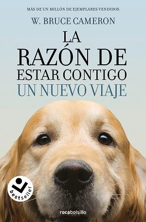 RAZÓN DE ESTAR CONTIGO 2 - UN NUEVO VIAJE | 9788416240999 | CAMERON, W. BRUCE