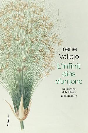 INFINIT DINS D'UN JONC | 9788466426947 | VALLEJO, IRENE