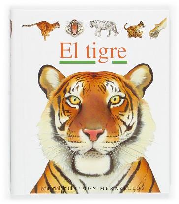 TIGRE, EL (MON MERAVELLOS) | 9788466106184 | PEYROLS, SYLVAINE; JEUNESSE, GALLIMARD