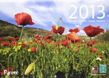 CALENDARI ALPINA 2013 | 9788480904742 | MUNTADA, FRANCESC