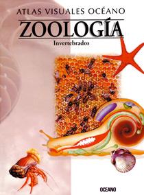 ZOOLOGIA INVERTEBRADOS | 9788449412882 | VARIS