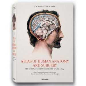 ATLAS OF HUMAN ANATOMY AND SURGERY | 9783822848210 | BOURGERY, J.M. / JACOB, N.H.