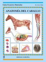 ANATOMIA DEL CABALLO | 9788425515736 | COLLES, CHRIS