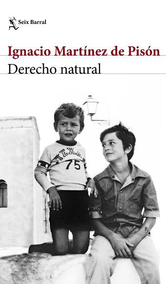 DERECHO NATURAL | 9788432232220 | MARTÍNEZ DE PISÓN, IGNACIO