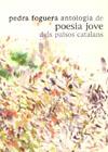 PEDRA FOGUERA ANTOLOGIA DE POESIA JOVE DELS PAISOS CATALANS | 9788496841659 | VARIS