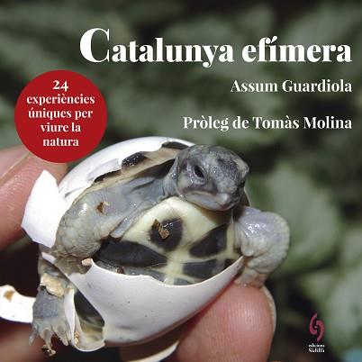 CATALUNYA EFÍMERA | 9788494928147 | GUARDIOLA, ASSUM