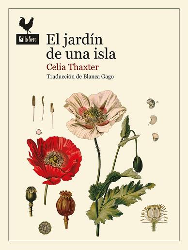 JARDÍN DE UNA ISLA | 9788419168139 | THAXTER, CELIA