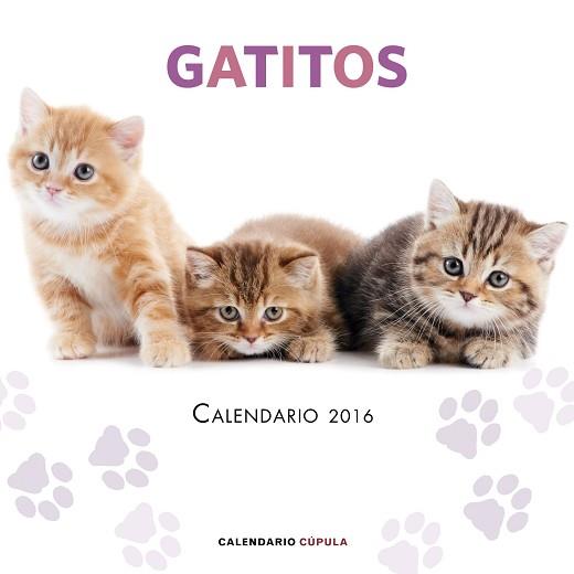 CALENDARIO GATITOS 2016 | 9788448021719 | AA. VV.