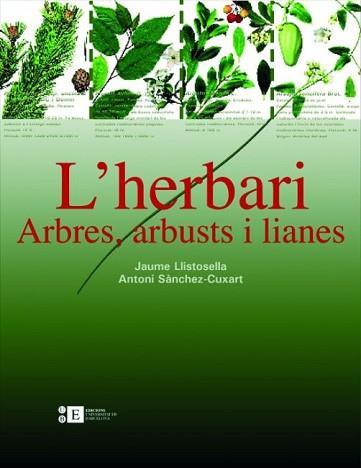 HERBARI ARBRES ARBUSTS I LIANES, L' | 9788483384220 | LLISTOSELLA, JAUME / SANCHEZ-CUXART, ANTONI