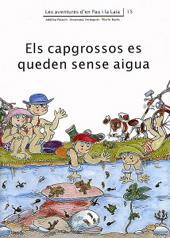 CAPGROSSOS ES QUEDEN SENSE AIGUA, ELS | 9788476028018 | PALACIN, ADELINA