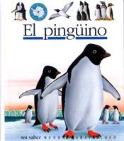 PINGUINO, EL (MUM 62) | 9788434881259 | METTLER, RENE