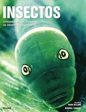 INSECTOS | 9788480767309 | BELLAMY, DAVID / CHINERY, MICHAEL