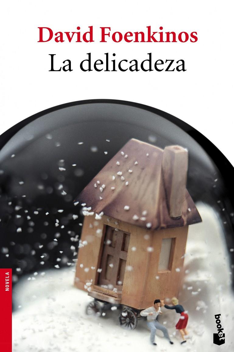 LA DELICADEZA | 9788432215896 | DAVID FOENKINOS