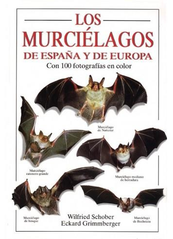 MURCIELAGOS DE ESPAÑA Y EUROPA, LOS | 9788428210140 | SCHOBER, WILFRIED ; GRIMMBERGER, ECKARD