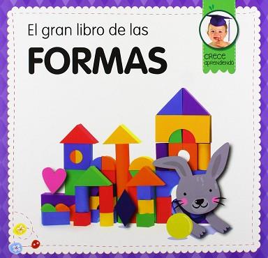 EL GRAN LIBRO DE LAS FORMAS | 9788492882878 | EQUIPO EDITORIAL