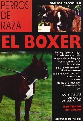 BOXER, EL (DOBLE ORO) | 9788431514471 | FROSOLINI, BIANCA