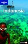 INDONESIA GUIA LONELY PLANET 2008 | 9788408069485 | VARIS