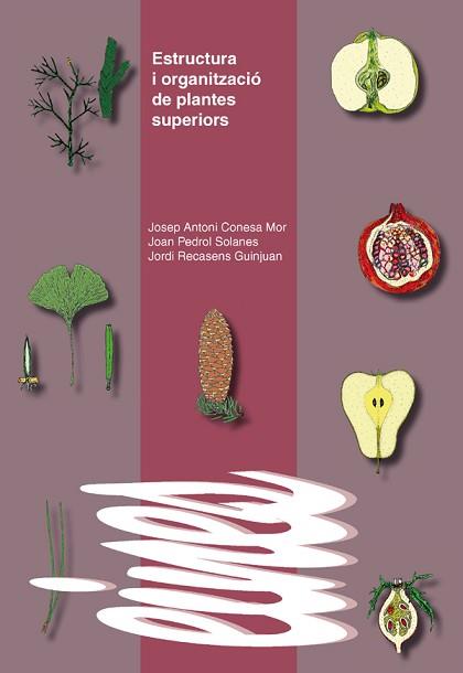 ESTRUCTURA I ORGANITZACIÓ DE PLANTES SUPERIORS. | 9788484093107 | CONESA MOR, JOSEP ANTONI / PEDROL SOLANES, JOAN / RECASENS GUINJUAN, JORDI