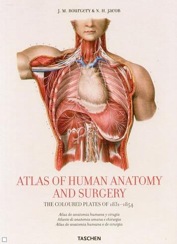 ATLAS OF HUMAN ANATOMY AND SURGERY | 9783836508667 | BOURGERY, J.M / JACOB, N.H