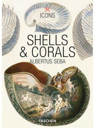 SHELLS & CORALS ICONS | 9783822832523 | SEBA, ALBERTUS