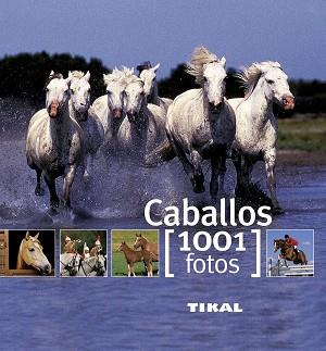 CABALLOS | 9788499280875 | RUDEL, MURIELLE / VIARD, MICHEL