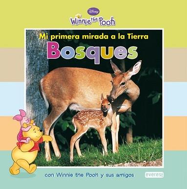 BOSQUES MI PRIMERA MIRADA A LA TIERRA WINNIE THE POOH | 9788444164243 | DISNEY