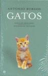 GATOS ( PACK GATOS SIN FRONTERAS - ALEGATOS DE LOS GATOS ) | 9788497343992 | BURGOS, ANTONIO