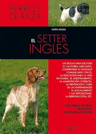 SETTER INGLES, EL (DOBLE ORO) | 9788431515324 | MAZZA, GUIDO