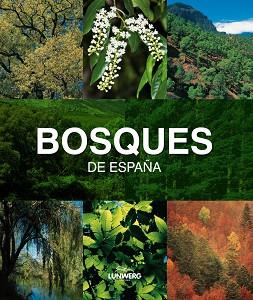 BOSQUES DE ESPAÑA. LUNWERG MEDIUM | 9788497857482 | ARAÚJO, JOAQUÍN