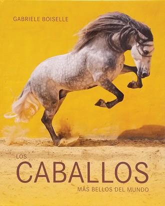 LOS CABALLOS MÁS BELLOS DEL MUNDO | 9783864075636 | BOISELLE, GABRIELE