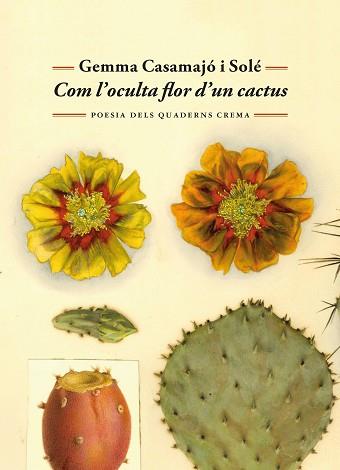 COM L'OCULTA FLOR D'UN CACTUS | 9788477277071 | CASAMAJÓ I SOLÉ, GEMMA