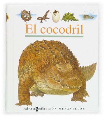 COCODRIL, EL (MON MERAVELLOS) | 9788466106191 | PEYROLS, SYLVAINE; JEUNESSE, GALLIMARD