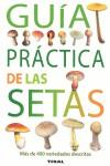 GUIA PRACTICA DE LAS SETAS | 9788492678167 | MASSART, FRANCIS