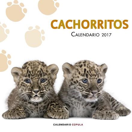 CALENDARIO CACHORRITOS 2017 | 9788448022617 | AA. VV.