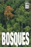 BOSQUES CUBE BOOK | 9788496865839 | AAVV