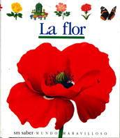 FLOR, LA | 9788434835375 | METTLER, RENE