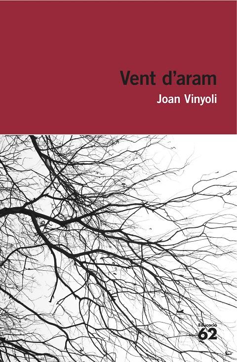 VENT D'ARAM | 9788415954248 | JOAN VINYOLI PLADEVALL